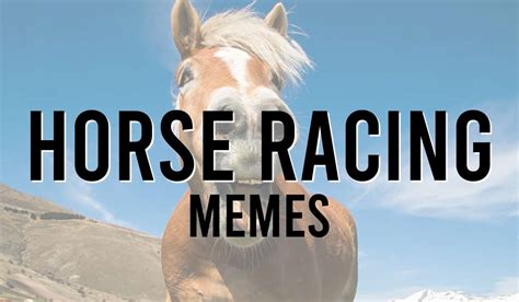 The best Horse Racing memes :) Memedroid.